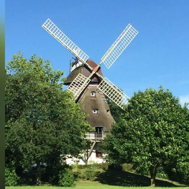 Fewo An Der Muehle Hasselberg (Schleswig-Holstein) Exterior foto